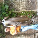 ���� Aliaksandr, ������������, 64 ���� - ��������� 25 ������� 2014 � ������ ���� ����������