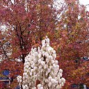 ���� ���, ����, 65 ��� - ��������� 18 ������ 2014 � ������ ������ ��������