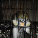 ���� ���������, ��������� - ��������� 23 �������� 2014 � ������ �������