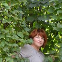  , - ,        ...   - 2014