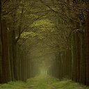 ���� ����, ������, 58 ��� - ��������� 10 �������� 2014 � ������ �������