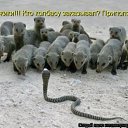 ���� ���������, ������ - ��������� 26 �������� 2014 � ������ ������ ��������