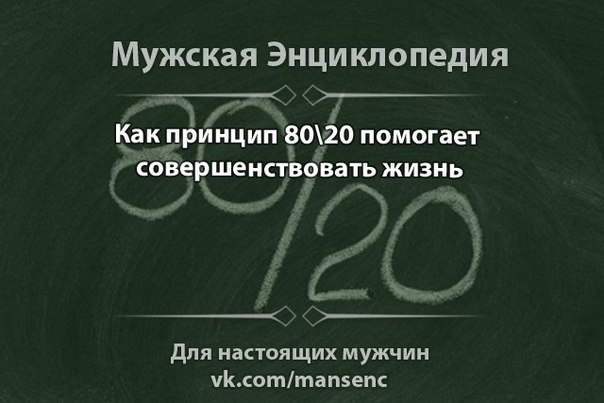  80\20 ,       .   ...