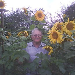 ���� �������, ��������, 79 ��� - ��������� 28 ������� 2014