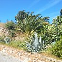 Portygaliia Lissabon �� ������� ���� ����������