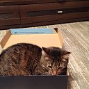 ���� ���������, �����-���������, 57 ��� - ��������� 3 ������� 2014 � ������ ������ ��������