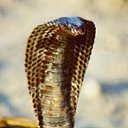 ���� �����, �������, 48 ��� - ��������� 22 ������ 2014 � ������ ���� ����������