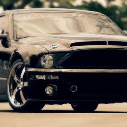���� ������, ������, 39 ��� - ��������� 4 ������� 2014