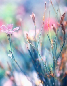 Чем позитивнее вы настроены, тем больше вы притянете того, что поможет вам сохранить душевный подъем ... - 6