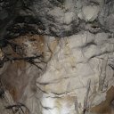 ���� �����, ��������, 44 ���� - ��������� 13 ������ 2014 � ������ ���� ����������