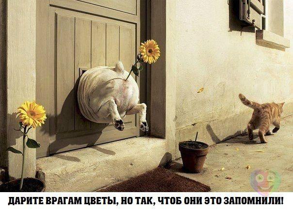 Art & Fun - 14 ������� 2014 � 07:25