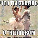 ���� �������, ����, 46 ��� - ��������� 28 �������� 2014 � ������ ������ ��������