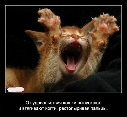 Подпишитесь, если понравилось!!! fotostrana.ru/public/237440/?