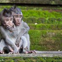 ���� ����, �����-���������, 51 ��� - ��������� 26 �������� 2014