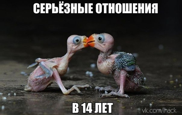  - 21  2014  08:05