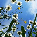 ���� �������, ������� - ��������� 5 ������ 2014 � ������ ���� ����������