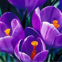 ���� ����, ��� - ��������� 10 �������� 2014 � ������ ���� ����������