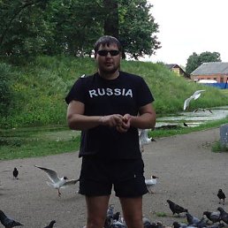 ���� ����, �����-���������, 44 ���� - ��������� 30 �������� 2014