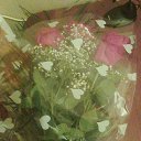 ���� Katerina, �����-���������, 28 ��� - ��������� 26 ������� 2014 � ������ ������ ��������