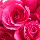 ���� �������, ������ - ��������� 22 ������ 2014 � ������ ���� ����������