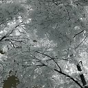 ���� Lessemor, �����, 39 ��� - ��������� 9 ������ 2014 � ������ ���� ����������