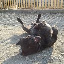 ���� ������, �����������, 43 ���� - ��������� 10 ������� 2014