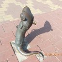 ���� Iskander, ����, 74 ���� - ��������� 22 �������� 2014 � ������ ���� ����������