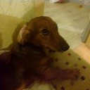 ���� Mrs, ���� - ��������� 8 ������� 2014 � ������ ���� ����������