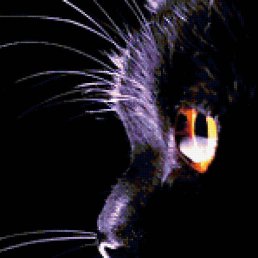 ������, ������, 33 ����