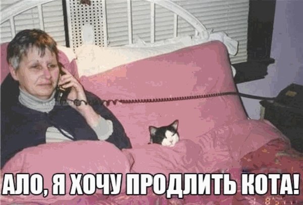  - 30  2014  21:06