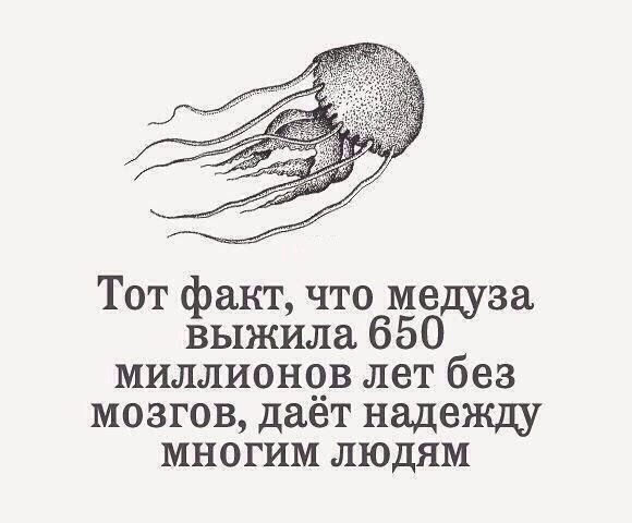    :-) - 26  2014  17:04