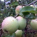  ,  -  26  2014        )))