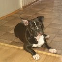 ���� ����, ������-��-����, 38 ��� - ��������� 16 �������� 2014 � ������ ���� ����������