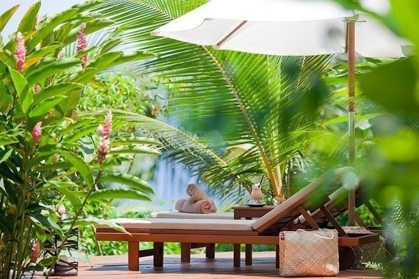   Laucala     .  : ... - 3