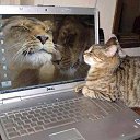 ���� �������, �����������, 61 ��� - ��������� 20 ������� 2014 � ������ ������ ��������