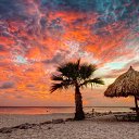  Nasser, , 64  -  3  2014    