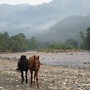 ���� ��������, ��������� - ��������� 6 ������� 2014 � ������ ��������� 2014.05. �������..�