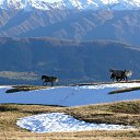  Giorgi, , 36  -  2  2014   gruzia svaneti region