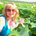 ���� �����, ������� - ��������� 2 ������� 2014 � ������ ���� ����������