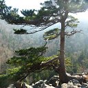 ���� ������, ����������� - ��������� 22 ������ 2014 � ������ ���� ����������