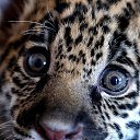 ���� ==Elena==, ������� - ��������� 27 ������� 2014 � ������ ���� ����������