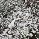 ���� ������, �������, 41 ��� - ��������� 18 ������� 2014 � ������ �������