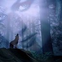 ���� ����, ����� - ��������� 20 ������ 2014 � ������ ������ ��������