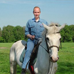 �����, ���������������, 44 ����