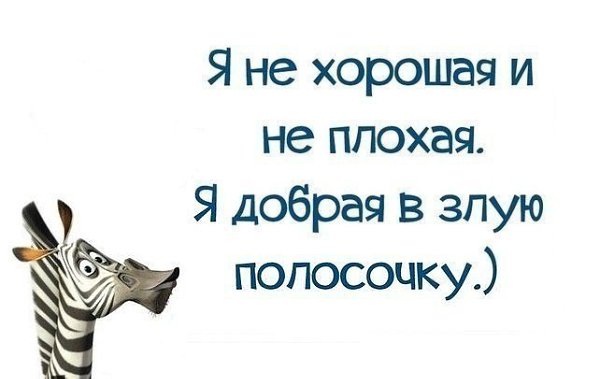 hocolate - 9  2014  21:16