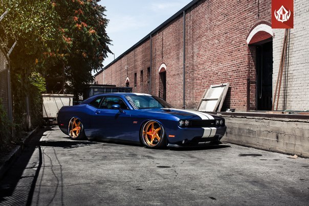 Dodge Challenger 392 HEMI on Vip Modular Wheels - 2