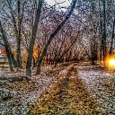 ���� Paul, ������, 34 ���� - ��������� 17 ������� 2014 � ������ ������ ��������