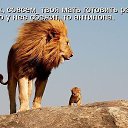 ���� �������, ������, 70 ��� - ��������� 16 ������� 2014 � ������ ���� ����������