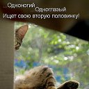 ���� ����, ���������, 46 ��� - ��������� 25 ������� 2014 � ������ ������ ��������