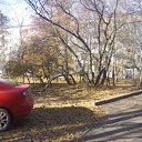 ���� ����, ����������, 53 ���� - ��������� 21 ������� 2014 � ������ ���� ����������